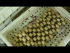 Tegangan Tinggi 40.5kVAC-100pF 4000V Kapasitor Keramik untuk isolator kapasitif